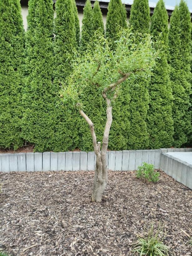 Ubytovani U Vrbicky - Blizko Prahy Unhošť Extérieur photo